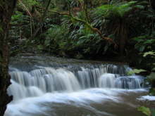 Purakaunui Falls