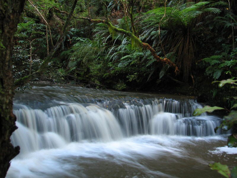 Purakaunui Falls
