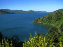 Queen Charlotte Sound