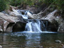 Rapaura Water Gardens