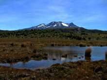 Mt Ruapehu