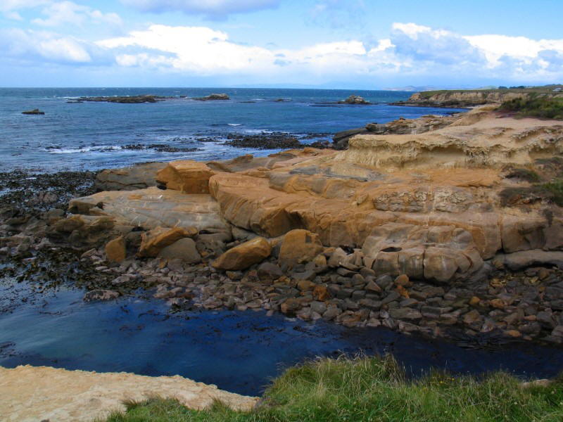 Shag Point