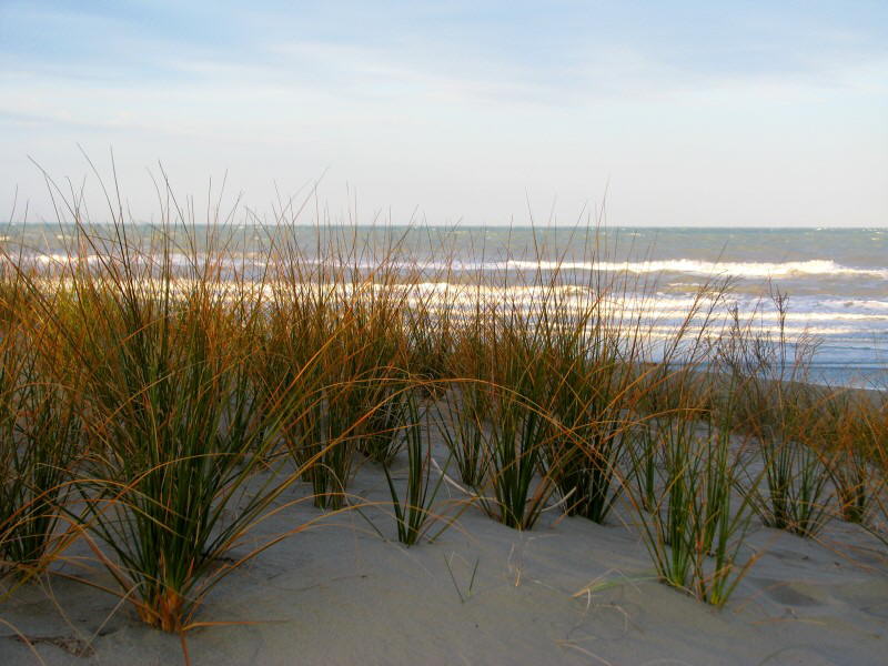 Spencer Beach
