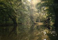 Spreewald_01