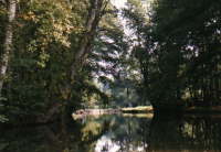 Spreewald_02