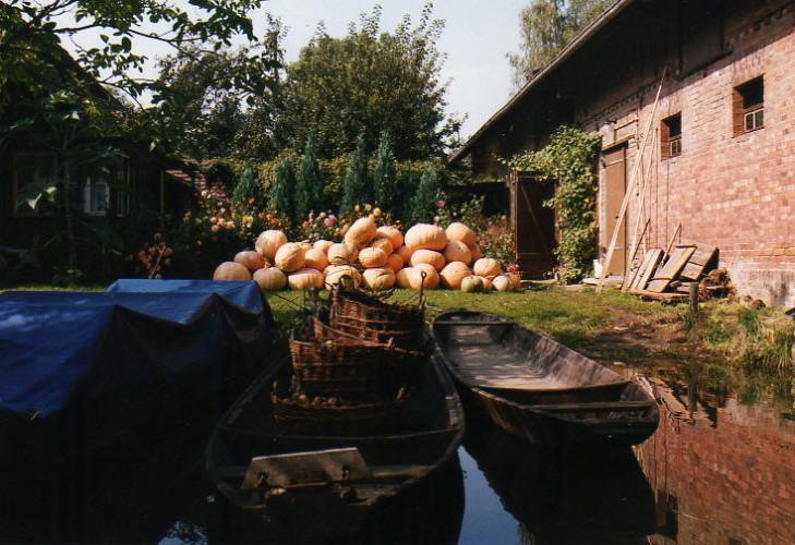 Spreewald_04