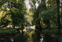 Spreewald_07