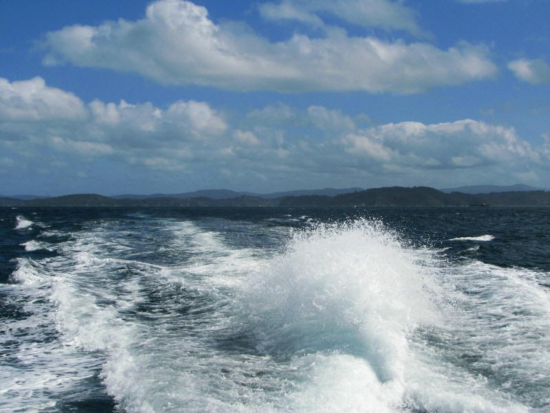 Stewart Island