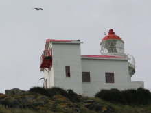 Taiaroa Head