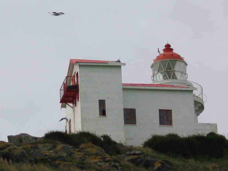Taiaroa Head