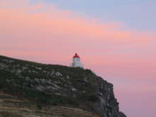 Taiaroa Head