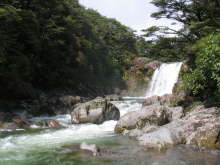 Tawhai Falls