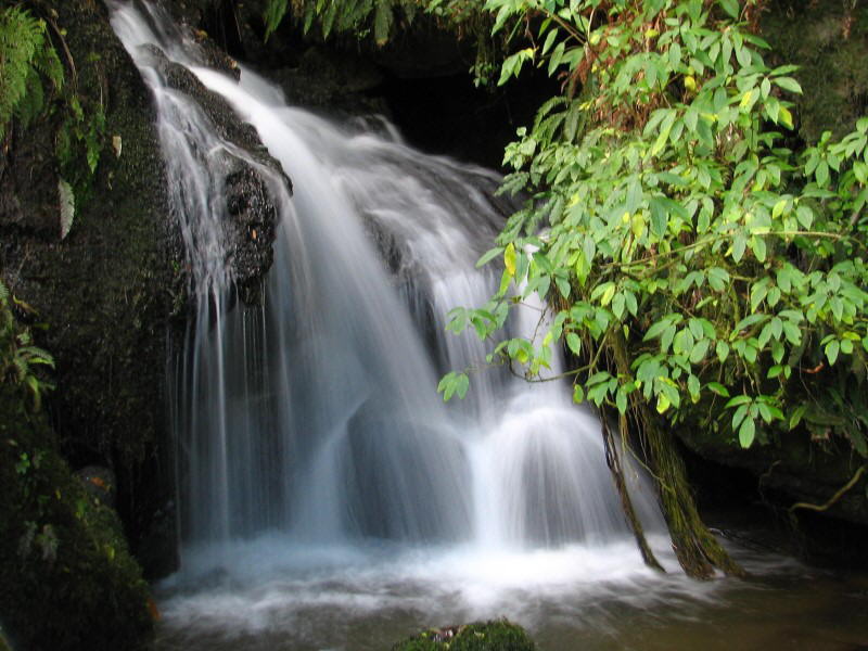Te Wairoa