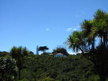 Tiritiri Matangi