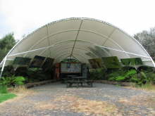 Trounson Kauri Park