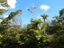 Waiau Waterworks