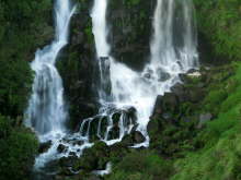 Waipunga Falls