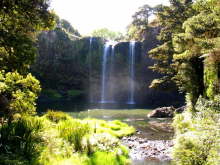 Whangarei Falls